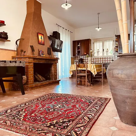 Capanna Sul Porto דירה San Calogero